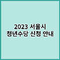 서울 청년수당 신청방법, 자격요건 및 신청기간 알아보기