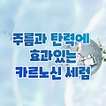 카르노신 세럼으로 탄력과 주름 개선하기 (추천제품까지)