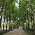 🌳총 사업비 2,300억, 🚶700만 명이 찾은 서울의 기적 같은 숲길 – ‘서울숲’ 트레킹 6km 완전 정복
