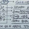 건축시공기술사 서술 서브노트 (현장타설 콘크리트의 건조수축을 유발하는 요인과 저감대책)