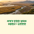순천만 습지, 가족과 함께하는 생태 여행의 최적지