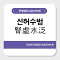 신허수범(腎虛水泛)