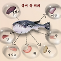 [ 기타 ] 처음 보는 지식을 빠르게 정리하는 법