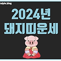 2024년 돼지띠운세 찾아오는 기회와 변화들