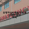 유병자실비보험: 종류, 가격, 간병인 지원