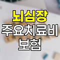뇌심장 주요치료비 보험의 필요성과 장점