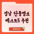 경남 단풍명소 가볼만한 곳 베스트5 추천🍂 단풍시기 확인