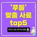 푸들 강아지 사료 추천 TOP 5 건강한 성장을 돕는 맞춤 사료