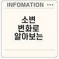 신장 건강: 소변 변화로 알아보는 신장 질환 조기 경고 신호