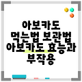 아보카도 먹는법 보관법 아보카도 효능과 부작용
