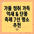 가을 정취 가득한 억새와 단풍 축제 명소 7선: 눈과 마음이 풍요로워지는 여행!