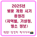 2025년 전국 봄꽃 개화 시기 총정리(기상청 사이트, 명소 정보)