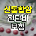 흥국화재 신통합암 진단비 보험, 전이암까지 보장하는 특별한 암보험