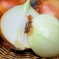 왜 양파는 우리를 울리는가? 이소알리신의 반격