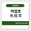 어성초(魚腥草)