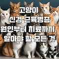 고양이 신경 근육병증 : 사료, 원인, 증상, 치료 방법