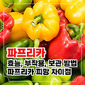 파프리카 효능과 부작용 및 보관 방법과 피망 차이점