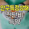 KB손해보험 안구특정상해진단비 특약 심층분석
