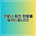 코로나 확진 현황을 알려드립니다!