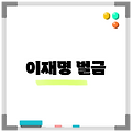 이재명 벌금