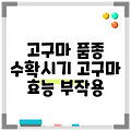 고구마 품종 수확시기 고구마 효능 부작용