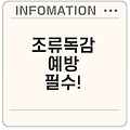 조류 인플루엔자 인체감염 증상 및 예방 완벽 가이드