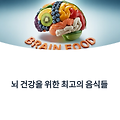 뇌 건강에 좋은 음식 총정리｜기억력·집중력을 높이는 식탁