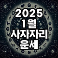 2025년 1월 사자자리 운세(사랑 연애 학업 직업 숫자