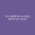 코나 일렉트릭의 보조금은 얼마인가요 2024년