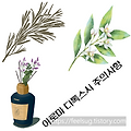 해독(디톡스, Detox)이란?