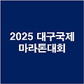 2025 대구국제마라톤 대회 안내