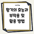 황기의 효능과 부작용 및 활용 방법을 통한 건강 관리