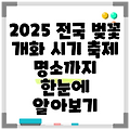 2025 전국 벚꽃 개화 시기 축제 명소까지 한눈에 알아보기