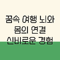 꿈속 여행: 잠자는 동안 뇌와 몸의 신비로운 연결