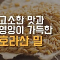 고대곡물 호라산밀 카무트의 효소 효능, 쌀 먹는 방법 가격 총정리