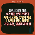 입냄새 제거 가글, 효과적인 선택 가이드| 속에서 오르는 입냄새 해결 | 입냄새 원인, 종류별 가글 추천, 입냄새 제거 팁