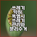 쓰레기 악취: 폭염시 쓰레기 관리와 분리수거