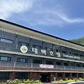 태백산 전망 자연속 쉼터 태백호텔 소개 (객실 & 부대시설 - 사우나)