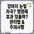 강아지 눈밑 자국, 영양제로 해결 가능할까? 효과적인 관리법과 주의 사항