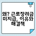 왜? 근로장려금 미지급, 이유와 해결책