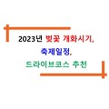 2023년 벚꽃 개화시기와 축제일정, 드라이브 코스 추천