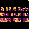 iOS 15.5 Beta 2, iPadOS 15.5 Beta 3 배포