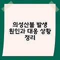 의성산불 발생 원인과 대응 상황 정리