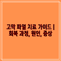 고막 파열 치료 가이드 | 회복 과정, 원인, 증상