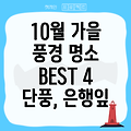 10월, 가을 정취 가득한 풍경 명소 BEST 4 - 단풍, 은행잎, 그리고 낭만