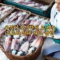 오징어 신선하게 고르는 최고의 상태 체크 꿀팁