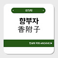 향부자(香附子)