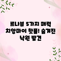 치앙마이 르 나뷰: 5가지 매력
