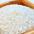 3대영양소중 탄수화물은 쌀밥과 빵 중 어떤것이 좋을까?