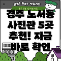 경주시 노서동 사진관 5곳: 위치, 운영시간, 전화번호